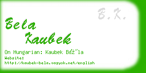 bela kaubek business card